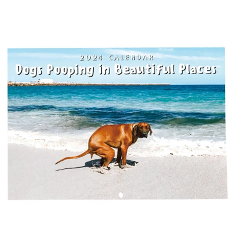 

1 Piece Dog Pooping Wall Calendar As Shown Paper Funny 2024 Pooches With Beautiful Places Calendar For 2024 Family Planner