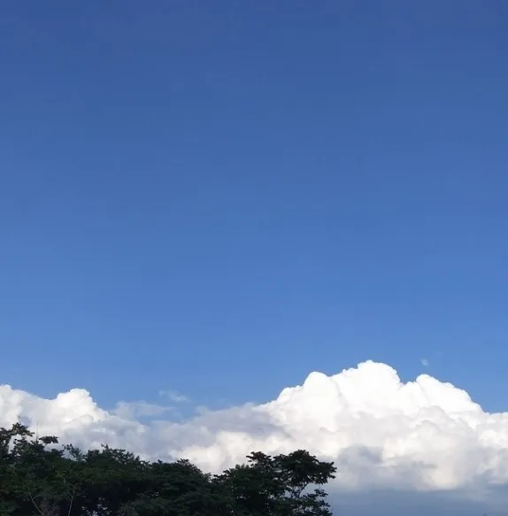 

ZWNAV Factory Store - Exclusive payment link for aircraft arrangement fees, shipping fees, remote area fees, and upgrade fees