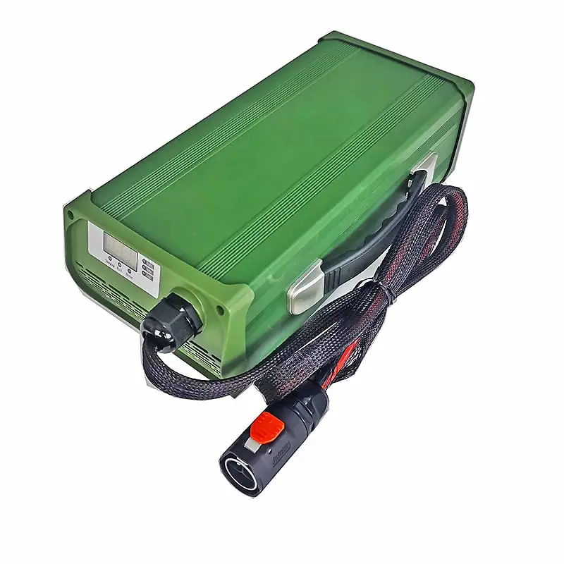 AC 220V 2200W Custom Charger 24V 60a 65a 70a for Lead Acid Batteries Ride-on Cars Electric Motorcycles Energy Storage Battery