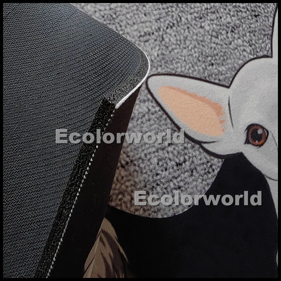 Alfombra personalizada para mascotas, felpudo personalizado para perros y gatos, alfombrillas, alfombra, accesorio de decoración para el hogar