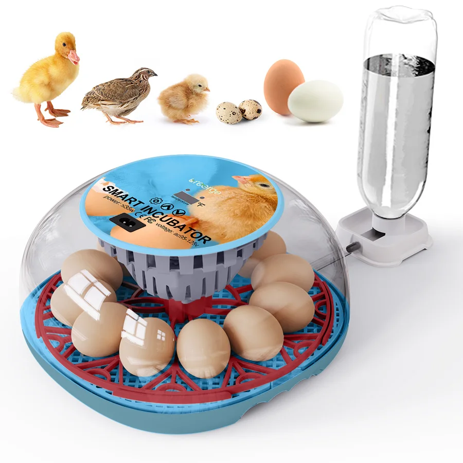 Huishoudelijke kleine kip, eend, gans eierincubator voeg automatisch water toe Intelligente temperatuurregeling 12 incubators