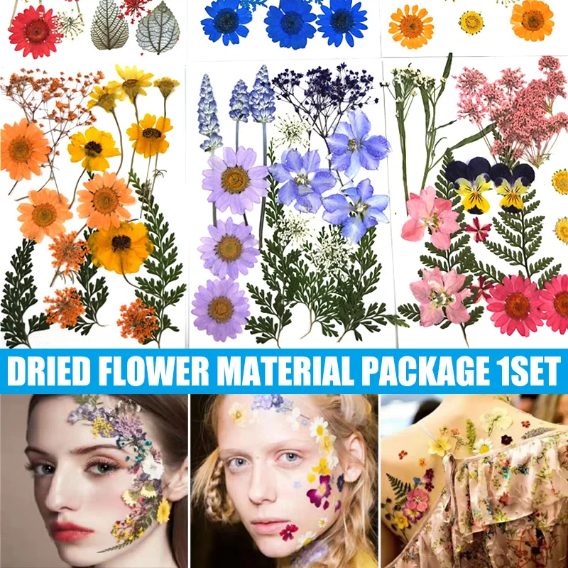 Colorful Real Dried Pressed Flowers Real Dried Press Flowers Set DIY Art Crafts for Art DIY Crafts-DIY Candles