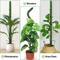 1pc Bendable Moss Pole for Plants Monstera Moss Poles for Climbing Plants  Plant Stakes for Indoor, Monstera Plant Support