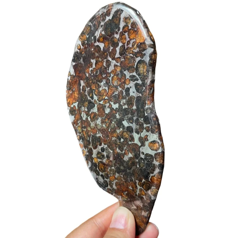 Sericho Pallasite Meteorite Slice Kenya Polished Natural Irregular Shape Olivine Pallasite Slab  For Collectible Gift QA895