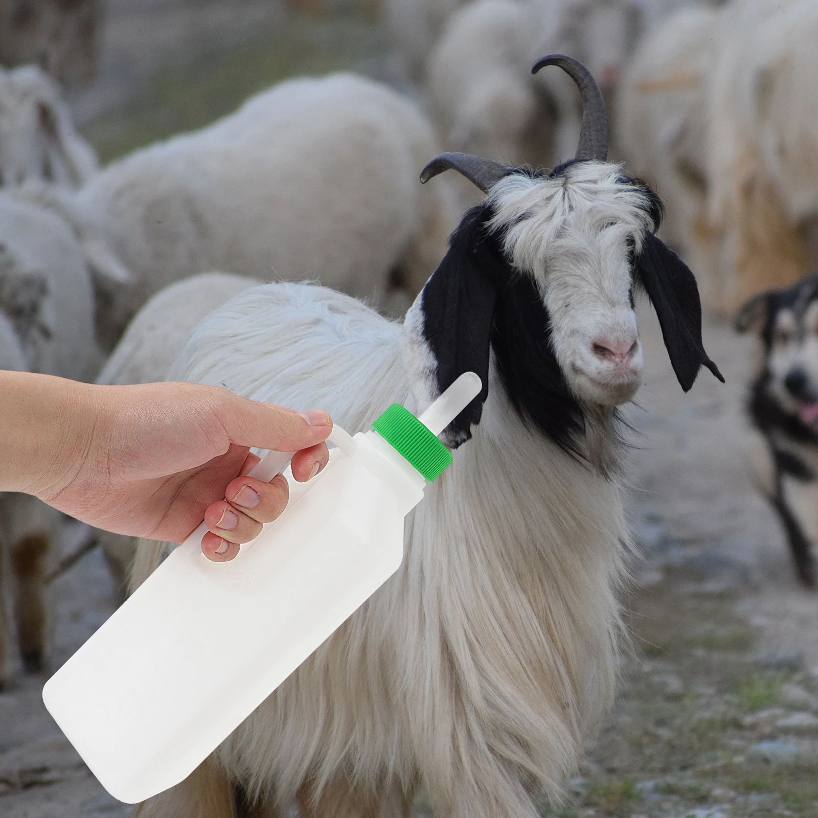 

6pcs Baby Bottle Nipple Lamb Milk Drink Silicone Pacifier Sheep Goat Calf Nursing Tools Livestock Supplies Pet Accessories Milk