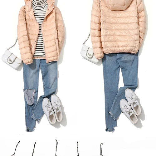 أسفل المعاطف