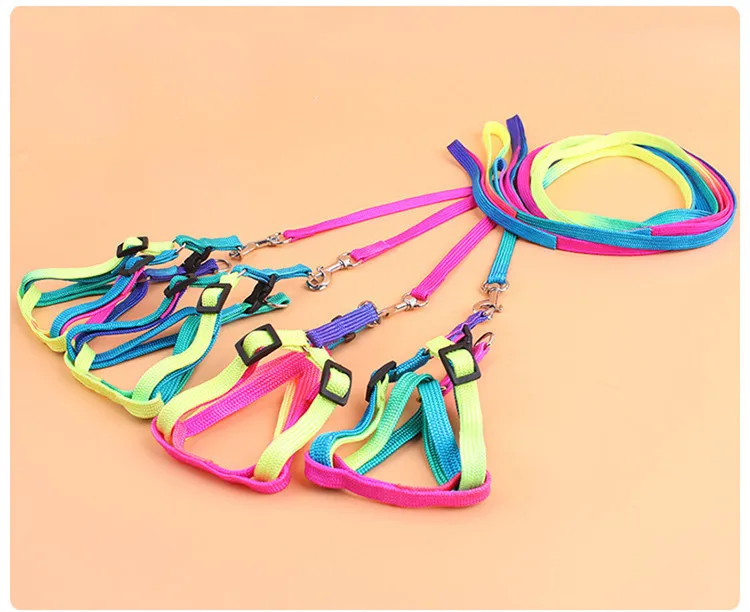 Pet Rainbow Traction Chest Strap Dog Rope Dog Chain Teddy VIP Chest Strap Rainbow Traction Rope