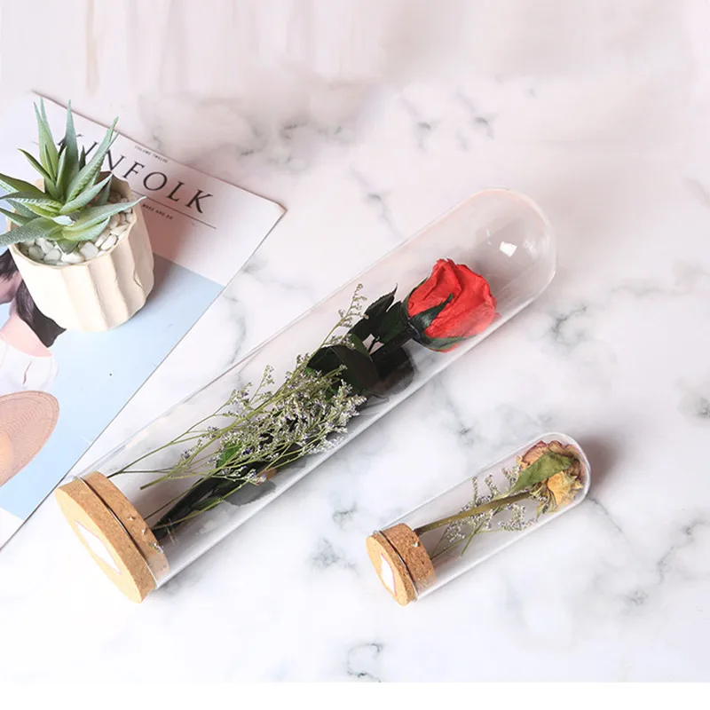 4sets/pack 3.7*18cm Tube Shaped Glass Dome Home Deocration Cork Base Transparent Cover Wedding Live Prop DIY Gift Flower Bottle