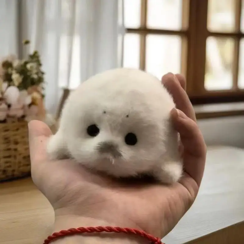 Cute Baby Seal Doll Plush Toy Pendant Simulation Ocean Toy Souvenir Seal Pendant Gift Doll Bag PendantHot