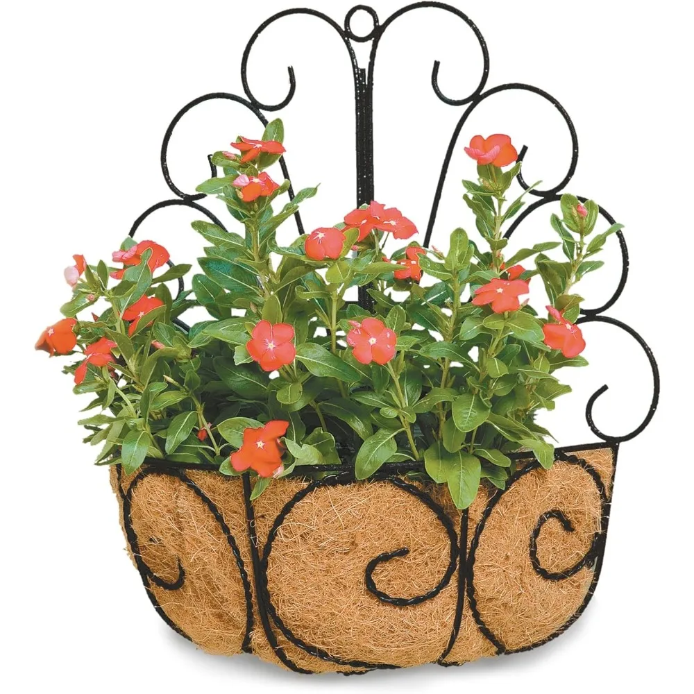 

Peacock Wall Basket Planter with Cocoa Moss Liner for Indoor Outdoor Garden Decor