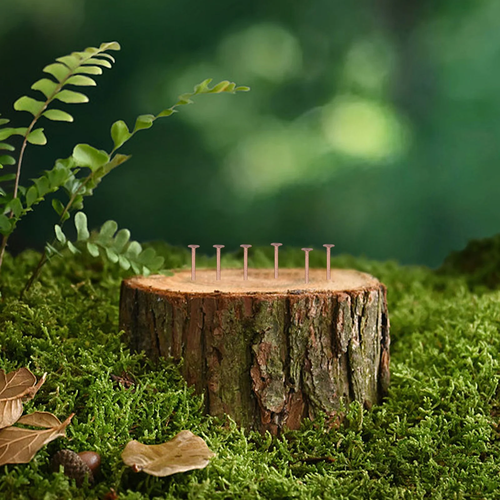 Gardening Tools Target - Tree Stump Killer with Copper Nails
