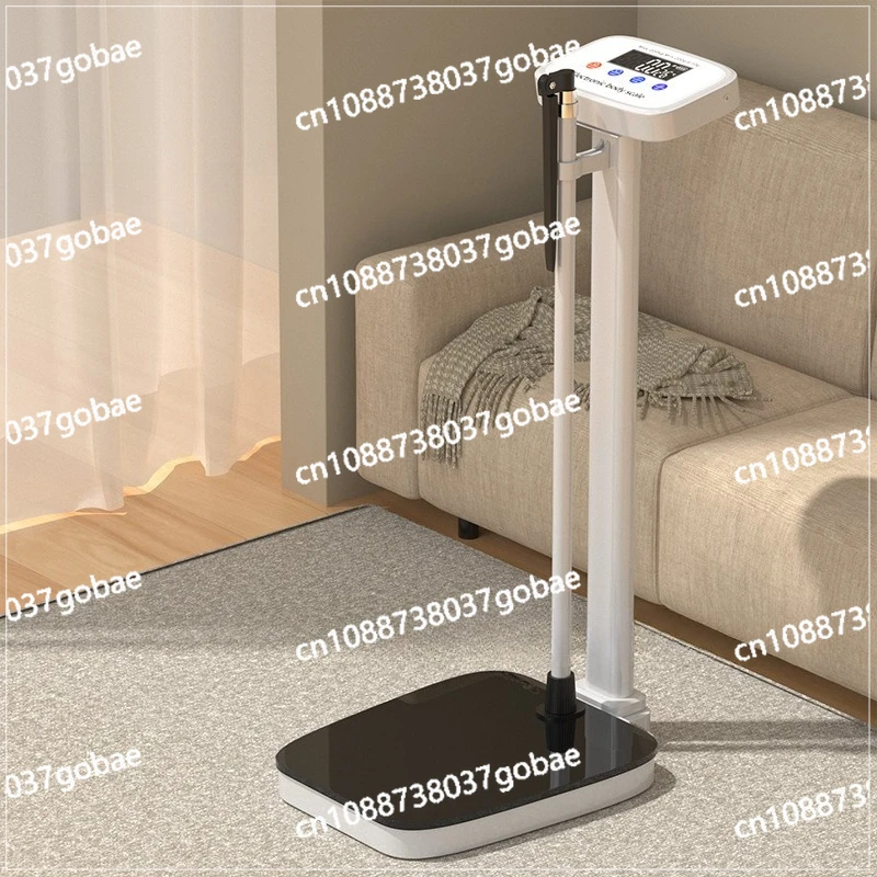 Electronic height scale, measuring instrument , accurate height ruler 200kg scale, school household scale