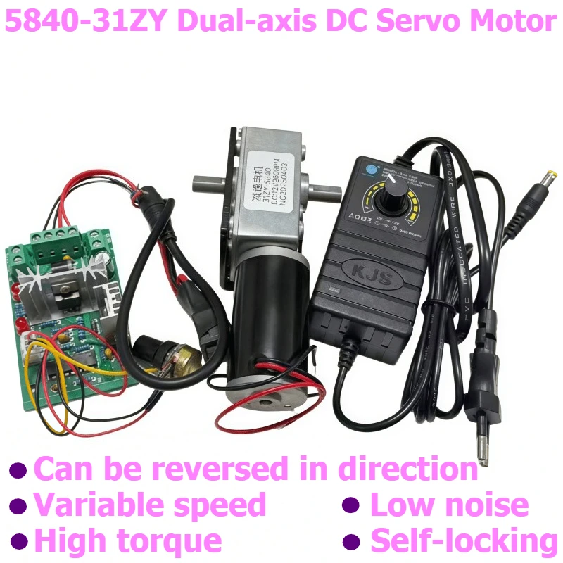 5840-31ZY Worm Gear Worm Reducer Motor with Self-locking DC Motor, with Speed Regulator, Bracket, Adjustable Power Supply