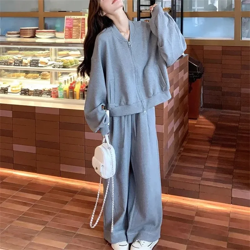 Korean Style Chic Casual Suit Women 2024 Winter New Loose Hoodie Two-piece Set Age Reducing Solid Color Commuting Solid Color WL
