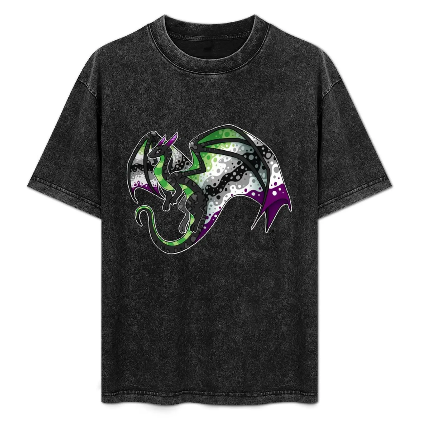 

AroAce Pride Dragon Friend T-Shirt custom shirt sublime outfits for men