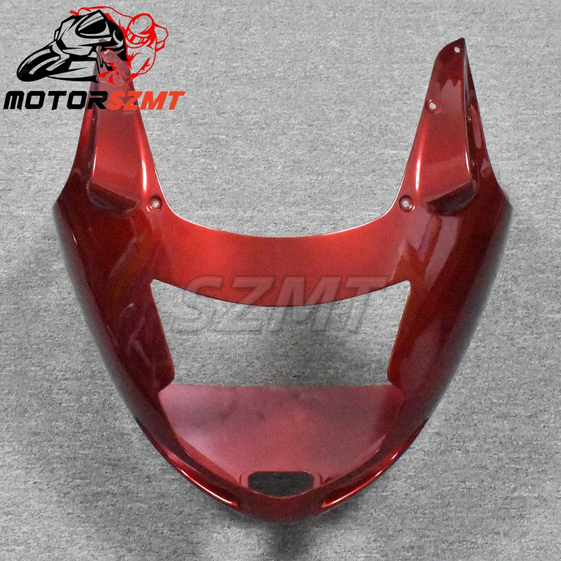 

Front Protector Injection ABS Unpainted Motorcycle For Honda CBR1100XX CBR 1100 XX Super Blackbird 1997-2007