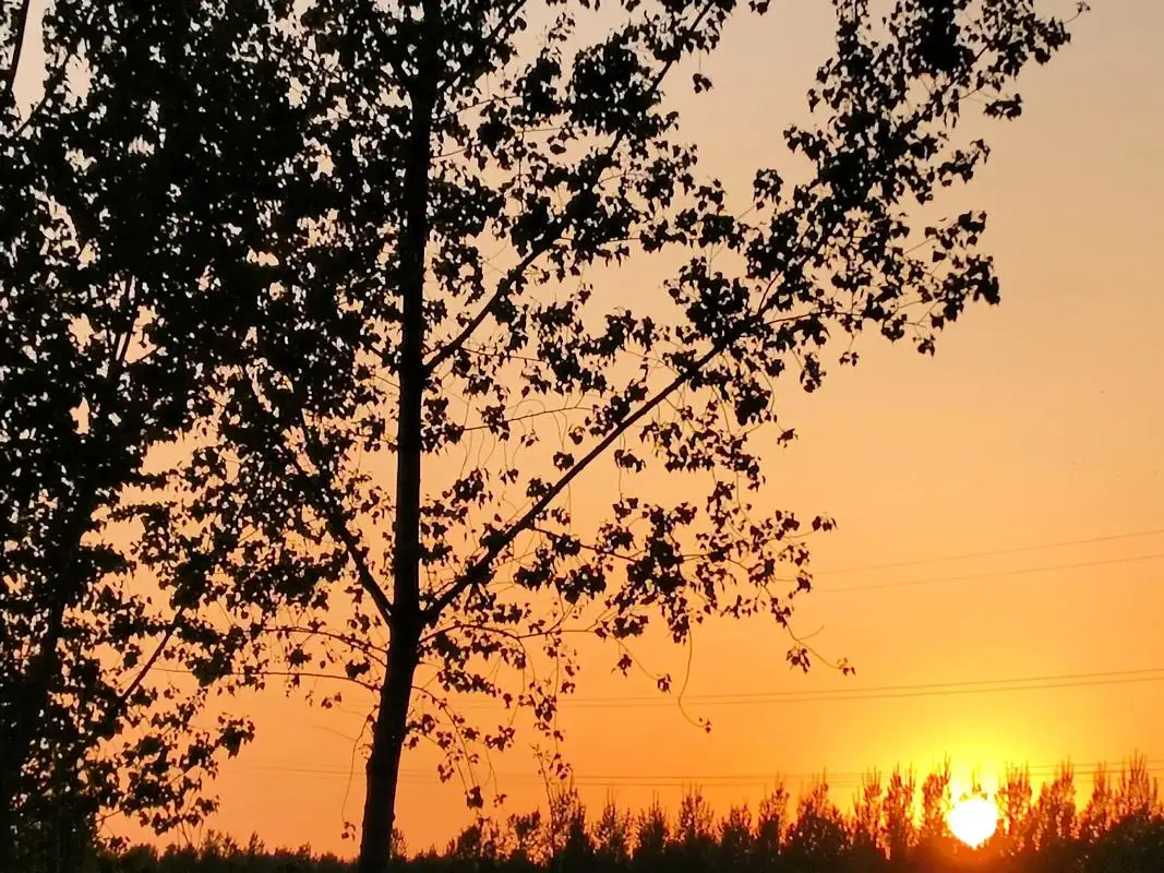 

Складной тренировочный барабанный пэд с USB-подключением и палочками для барабанов, сенсорный, отличный подарок на праздники и дни рождения для детей