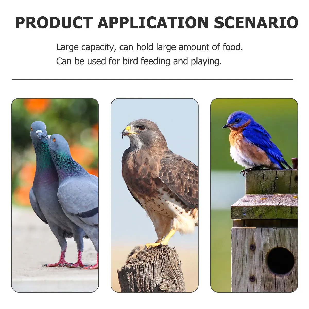 

Bird Feeder Transparent Acrylic Cage Durable Large Capacity Indoor Outdoor Finch Feeding Station Bird Cage Feeder