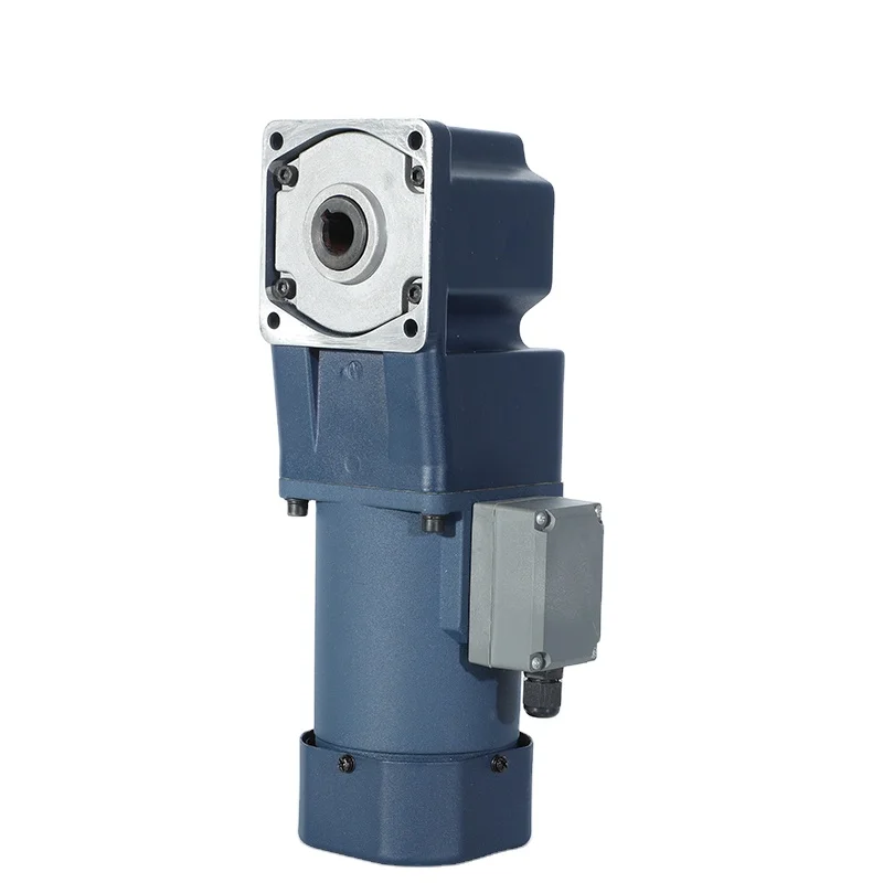 Right Angle Gear Motor Induction/Reversible/Torque Gear Motor