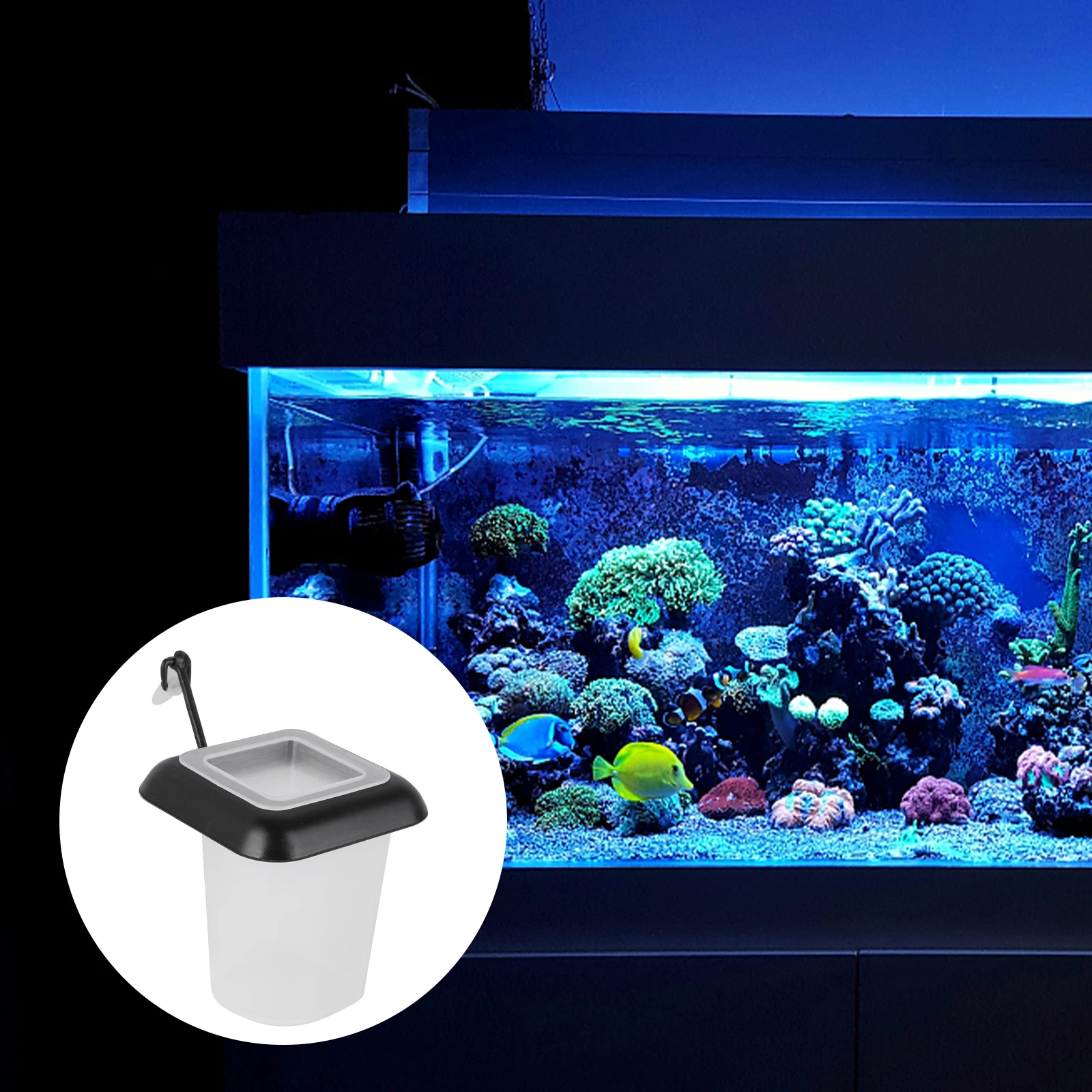 

Red Worm Feeder Cone Shaped Fish Feeding Cup Suction Cup Aquarium Tropical Bloodworm Feeder Live Food Container