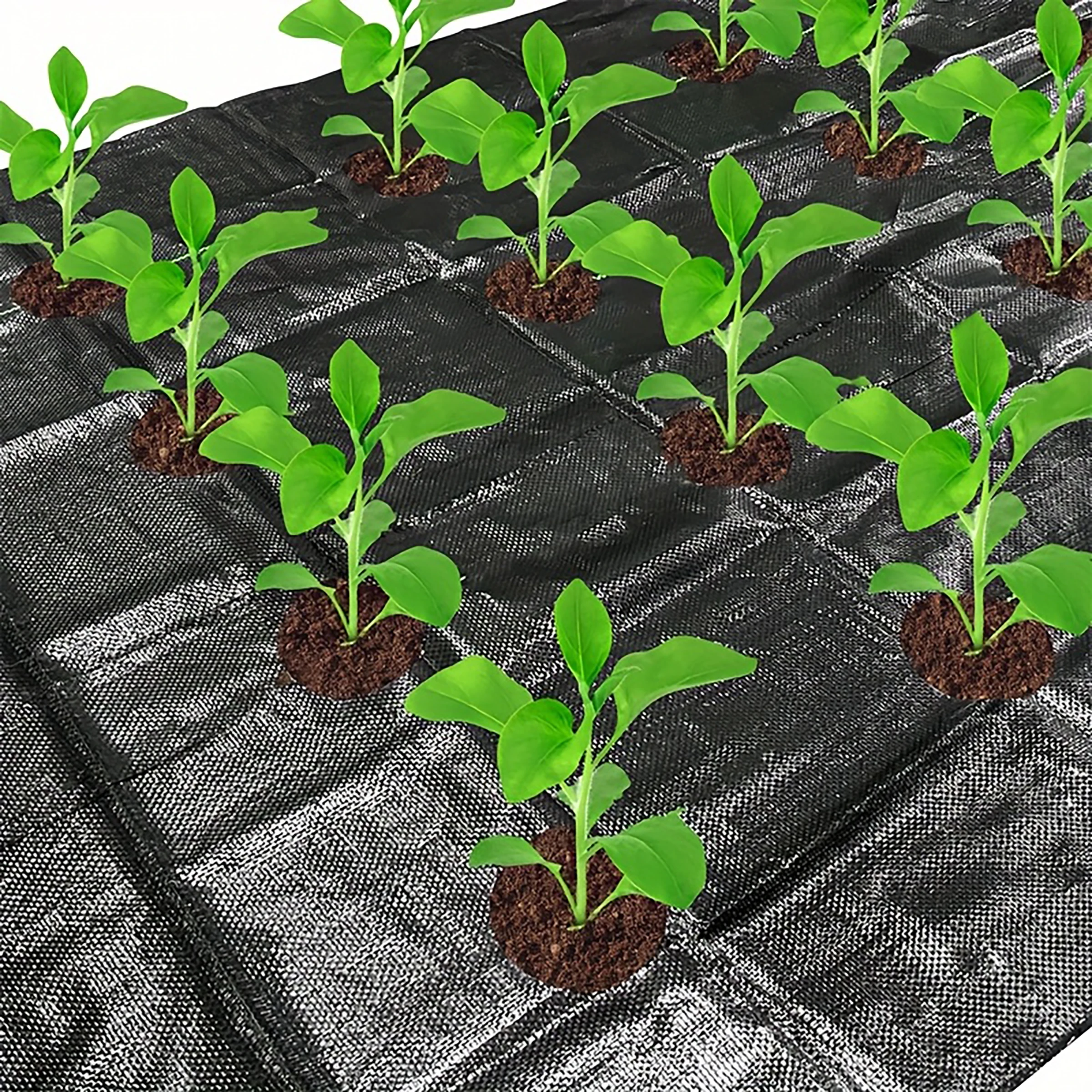 Open hole weed proof cloth -1x10 meters+10 U-shaped ground nails, suitable for weed control in gardens, farms, vegetables, etc. - Image 2