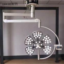 Surgical Shadowless Lamp Microcosmetic Dentistry Pet Medical Ceiling Wall-Mounted Surgical Lamp （AC/90V-230V）Free Shipping