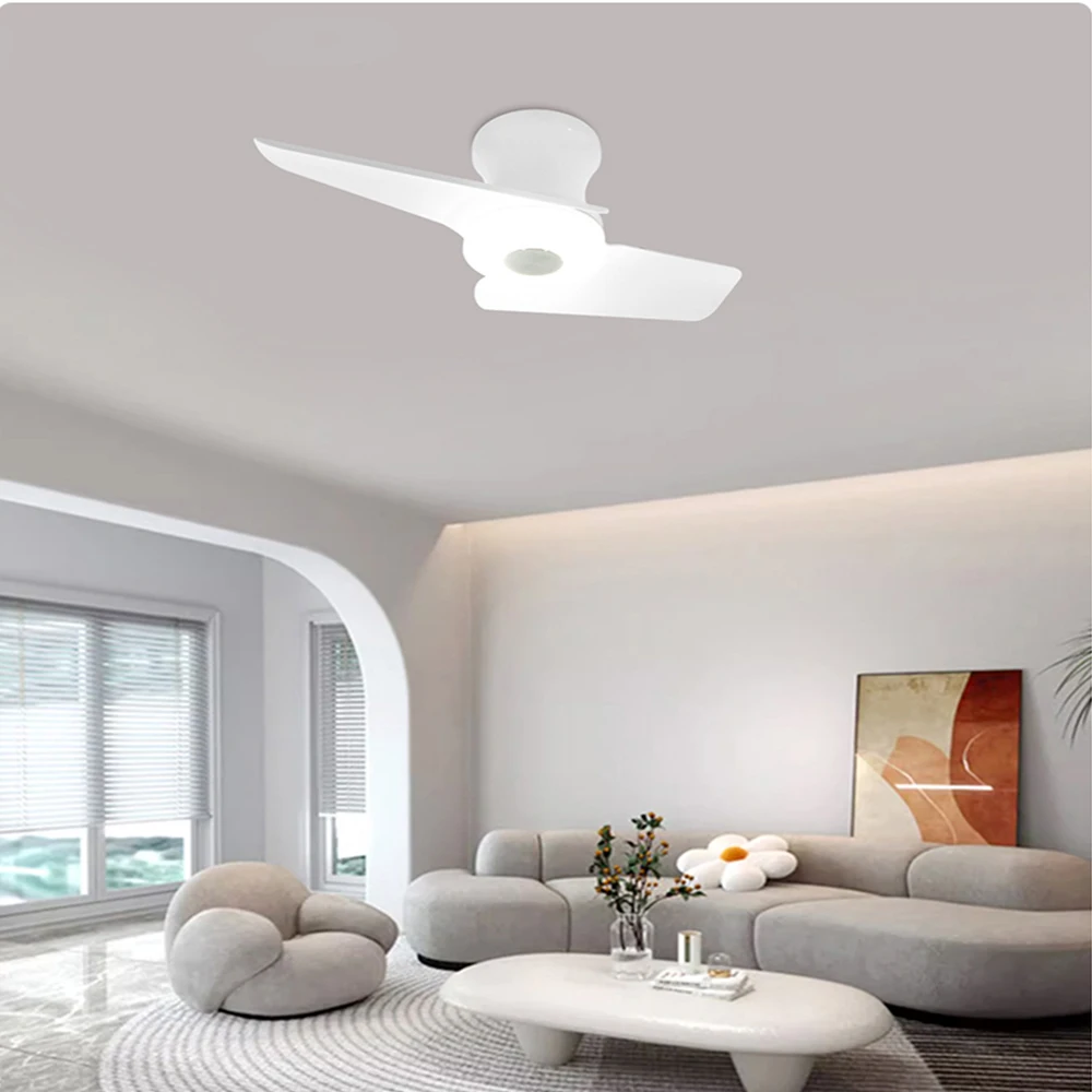 Electric Fan Integrated Ceiling Fan Light Mute Simple Two-Blade Ceiling Fan Fan Light Bedroom Living Room Restaurant Modernity