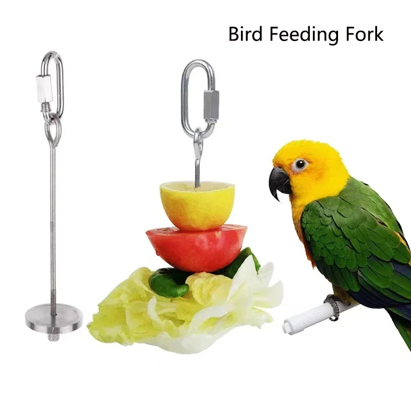 Stainless Steel Pet Parrot Feeder Fruit Corn Fork Toys Chicken Vegetables Holder Hang Cage Feeding Stick Feeder Accessories Brid