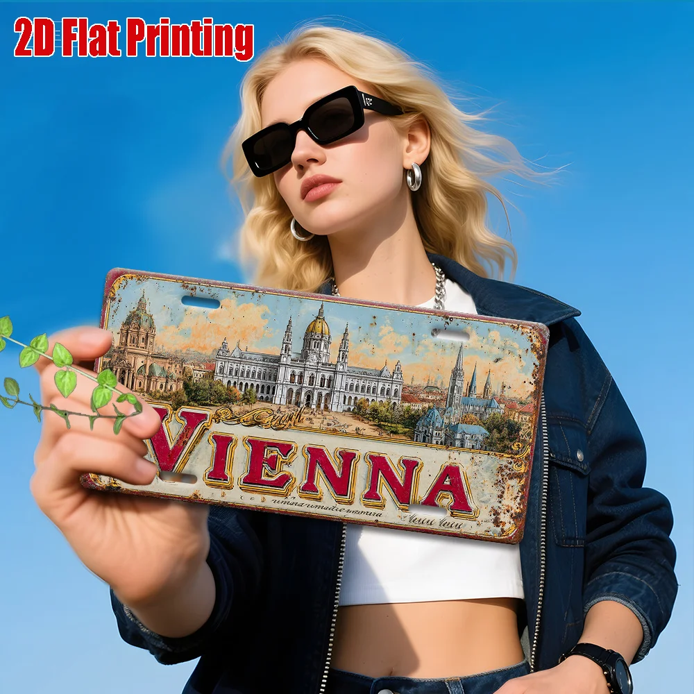 2D Plane, 1 Vintage Metal  Plate-Heavy Metal Structure-No Wiring Required-Suitable for Indoor/outdoor Home, Bar, Garage