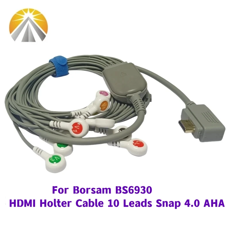 Compatible for Holter Borsam BS6930 iTengo CV200 CV1200 ECHO60 5 Leads or 10 Leadwires ECG Holter Cable With Snap 4.0 Type AHA