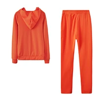 Autumn and Winter European and American Fashionable Sports and Leisure Solid Color Suits Personalized Zipper Pocket Two-piece Se - Image 2