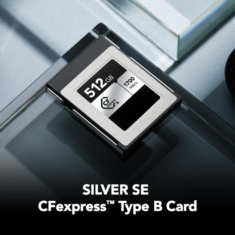 home. 512GB Professional Silver SE CFexpress Type B Memory Card,Up to 1700/1250 MB/s, 8K Video (LCXEXSE512G-RNENU)