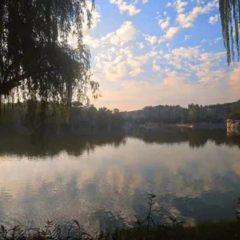 Geprc Elrs Nano 915… - image