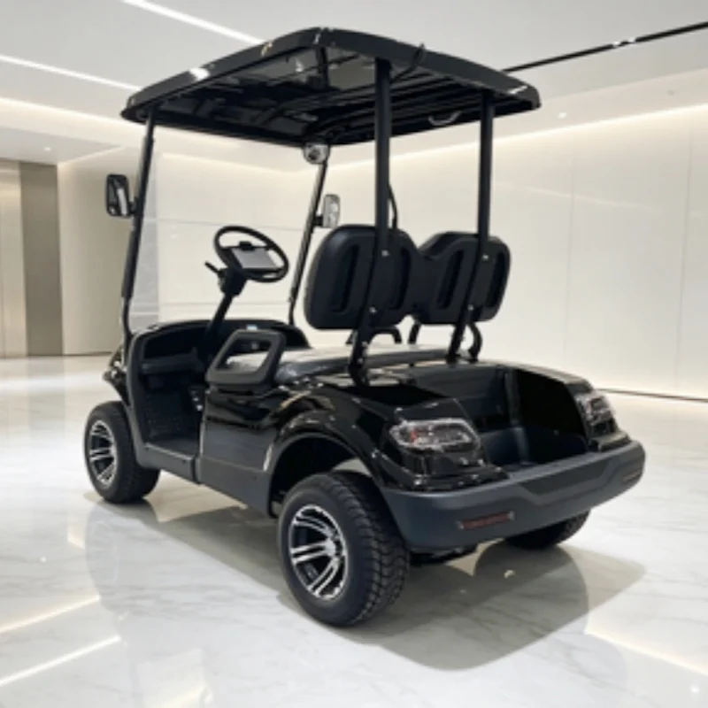 CE Certification 72V Lithium Golf Carts 2 Seater Electric Golf Cart With 12-Inch Off-Road Tires Side Mirror With Turning Light