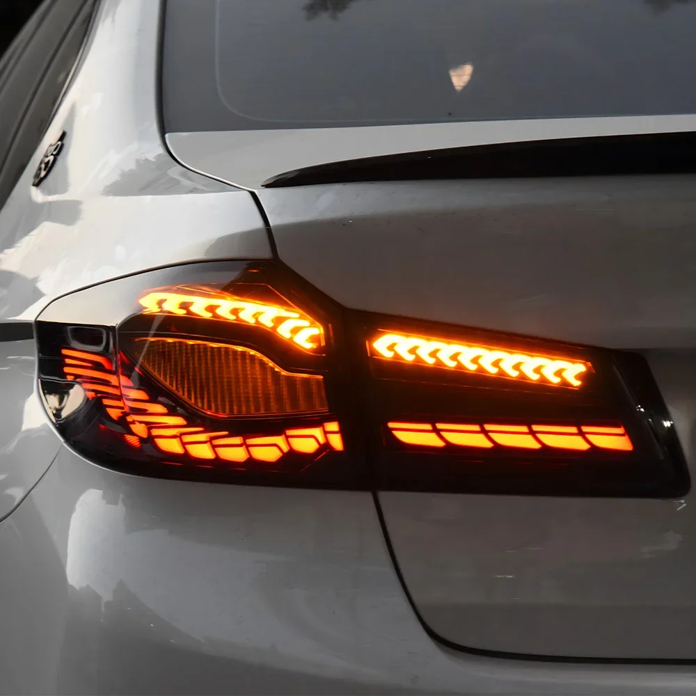 لسيارات BMW 5 Series G30 G38 530i 540i 550i 2018-2020 LED مجموعة المصابيح الخلفية للسيارة ترقية مقياس التنين المزدوج ملحقات الضوء الخلفي