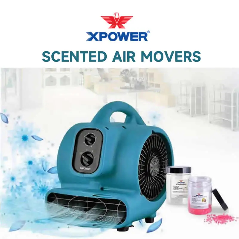 XPOWER P-250T Freshen Mini Mighty Scented Air Mover