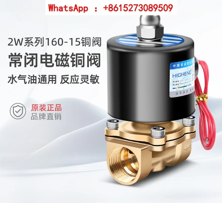 Pneumatic solenoid valve 2W160-15/4 normally closed two-way water valve copper DN15 electromagnetic control valve AC220V 24V