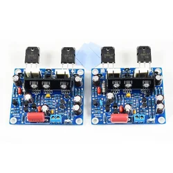 New 2PCS MX50 SE 100WX2 SANKEN Audio Power Amplifier 2.0 Channels  Amplificador Diy Kit Finished Module