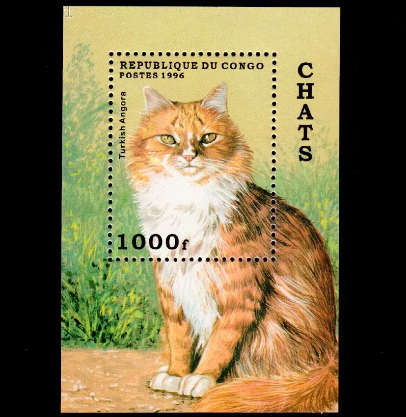 1Sheet New Congo Po…