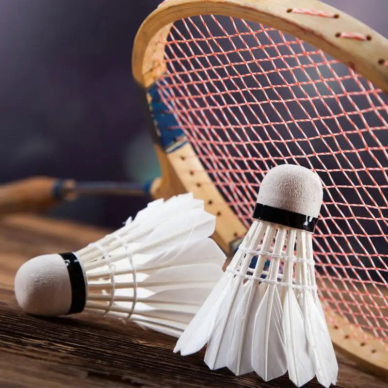 Pluma de volante de bádminton profesional, juego de pelota de entrenamiento estable, 12 piezas