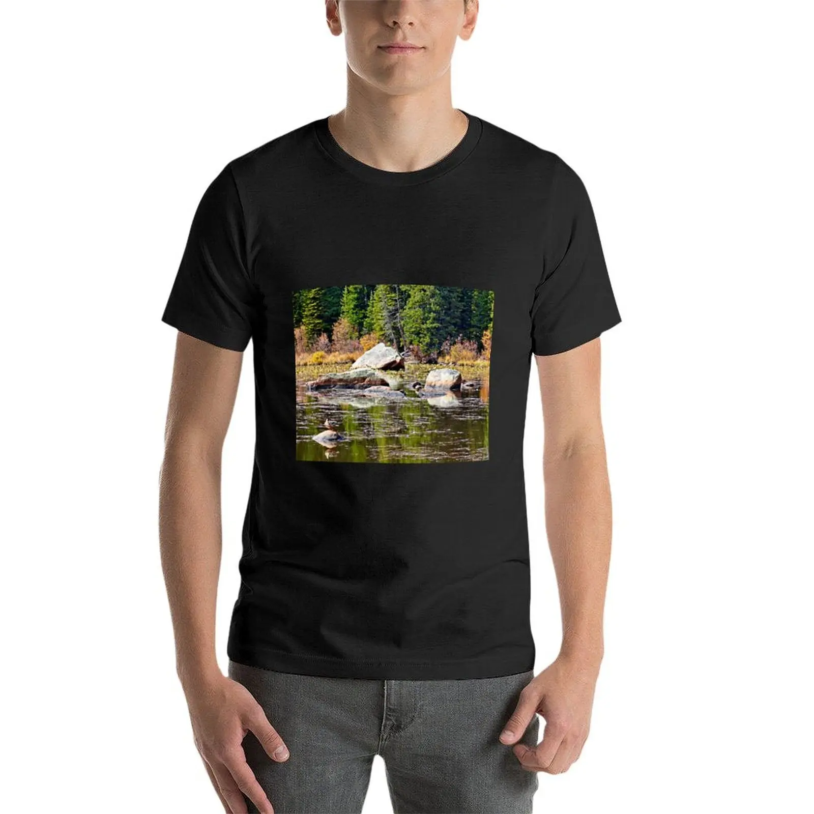 Red Rock Lake Fall Study 1 T-Shirt sweat shirts graphic tees korean fashion mens big and tall t shirts