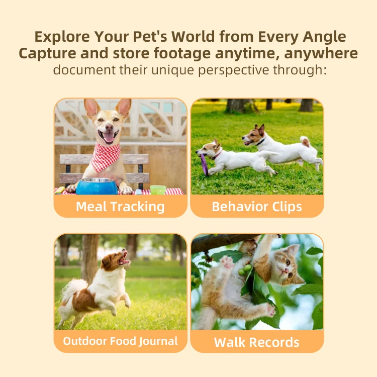 Mini Wireless Cat Collar Camera 1080P HD Magnetic Motion Sensor Pet Camera with Phone APP