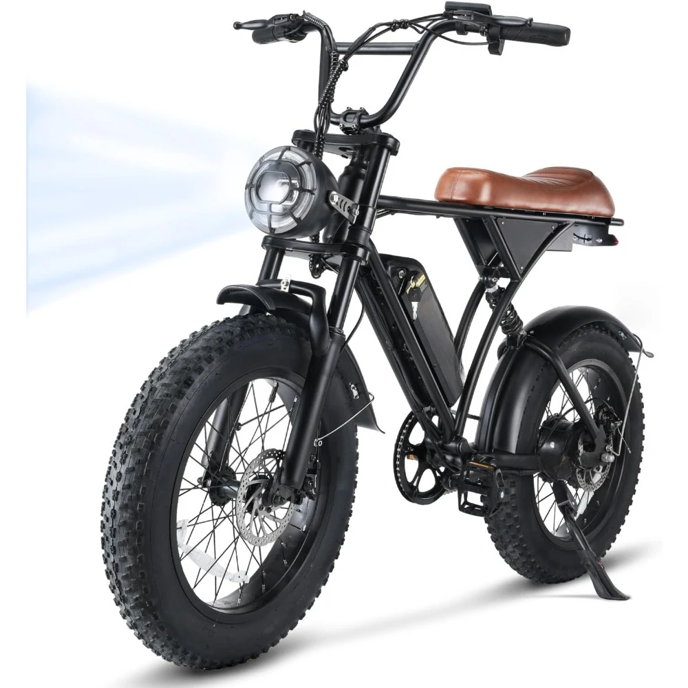 Electric Bike for Adults 750W Motor, 20