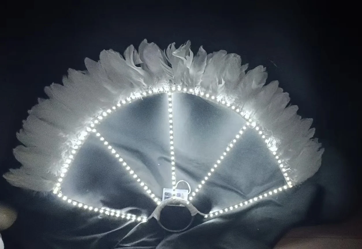 

Night paris nightclub gogo bar stage led feather glowing fan pink atmospheric ds performance props color