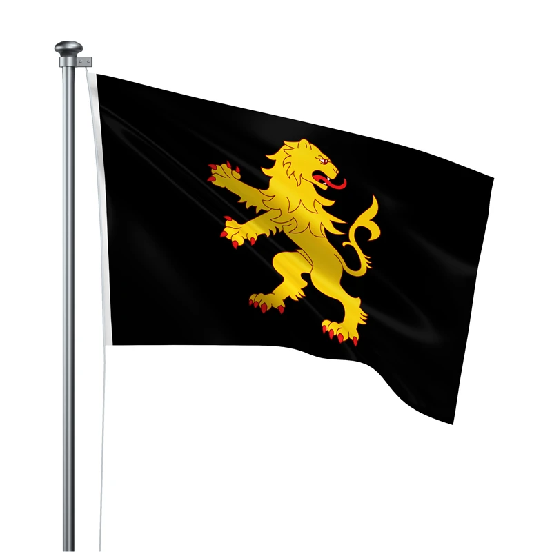 Gaslight Gatekeep Girlboss 5' x 3' Cardiganshire Wales Flag Banner Polyester with Brass Grommets 150cm x 90cm