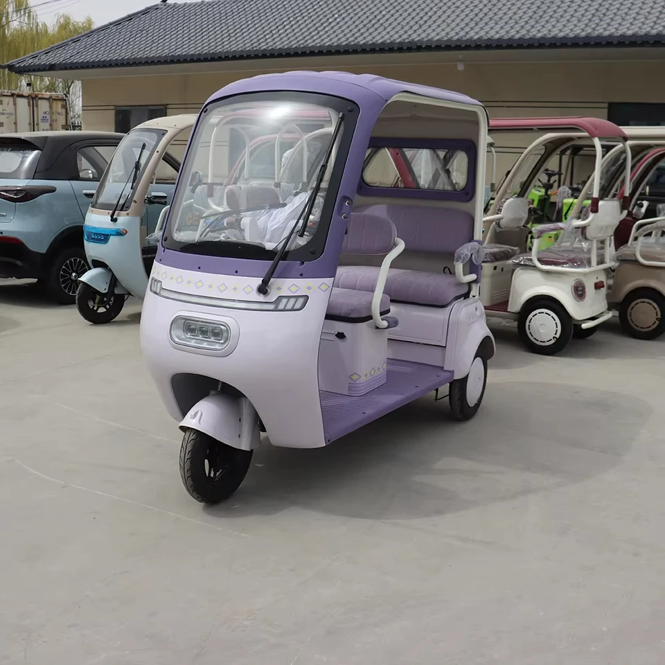 Clearance Sales 600W Motor Electric Scooter 3 Wheel Tricycle for Rural Travel