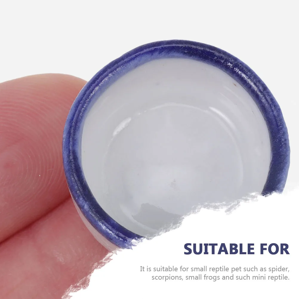 

24 Pcs Pet Birdbath Ceramics Micro Bowls for Spiders Reptile Tanks Container Accessories