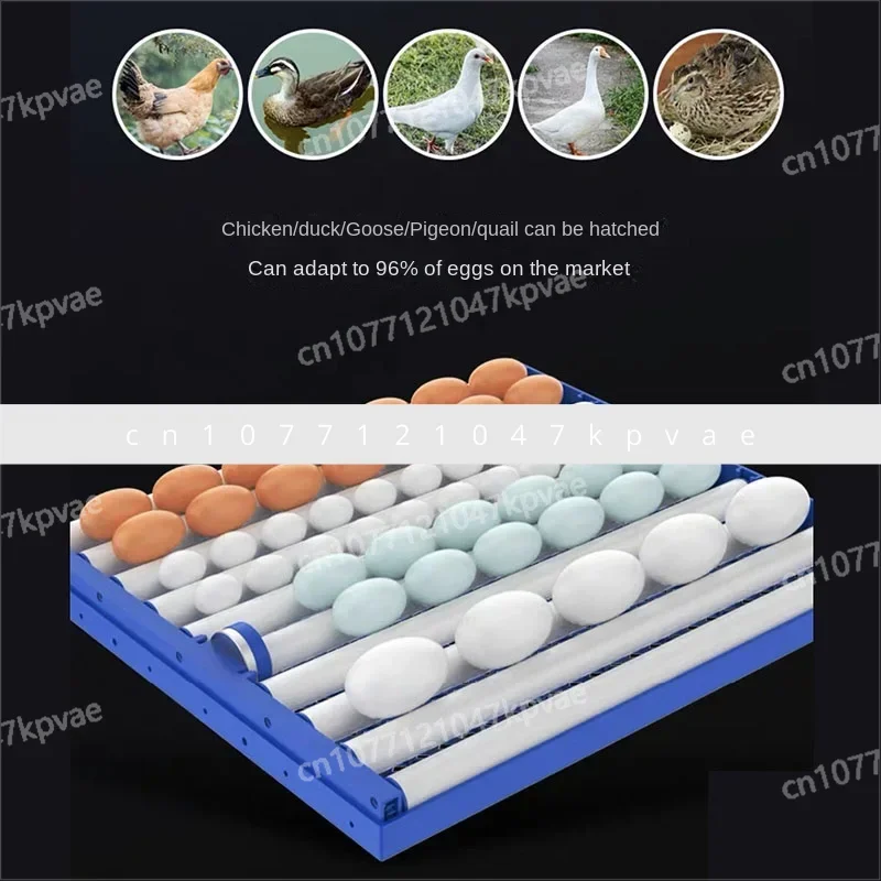 Chicken, Duck, Goose, Quail Hatcher 204/136 Egg Intelligent Large and Medium Sized Home Fully Automatic