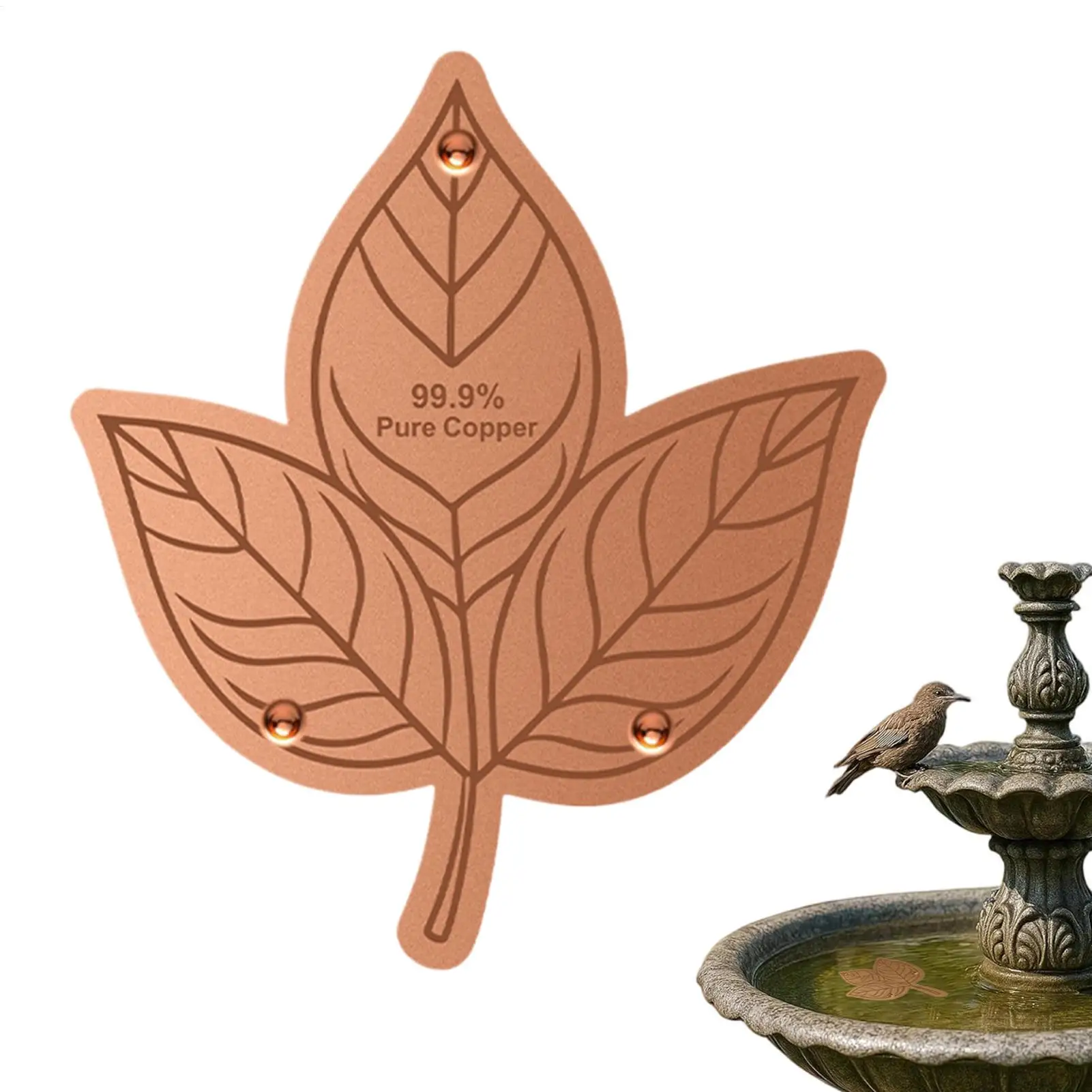 Bird Bath Copper Disk All Season Purification Plate Birdbath Cleaner Copper Bird Bath Purification Disk For Outdoors Backyard