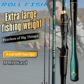 Carbon Dual Tip Fishing Rod 1